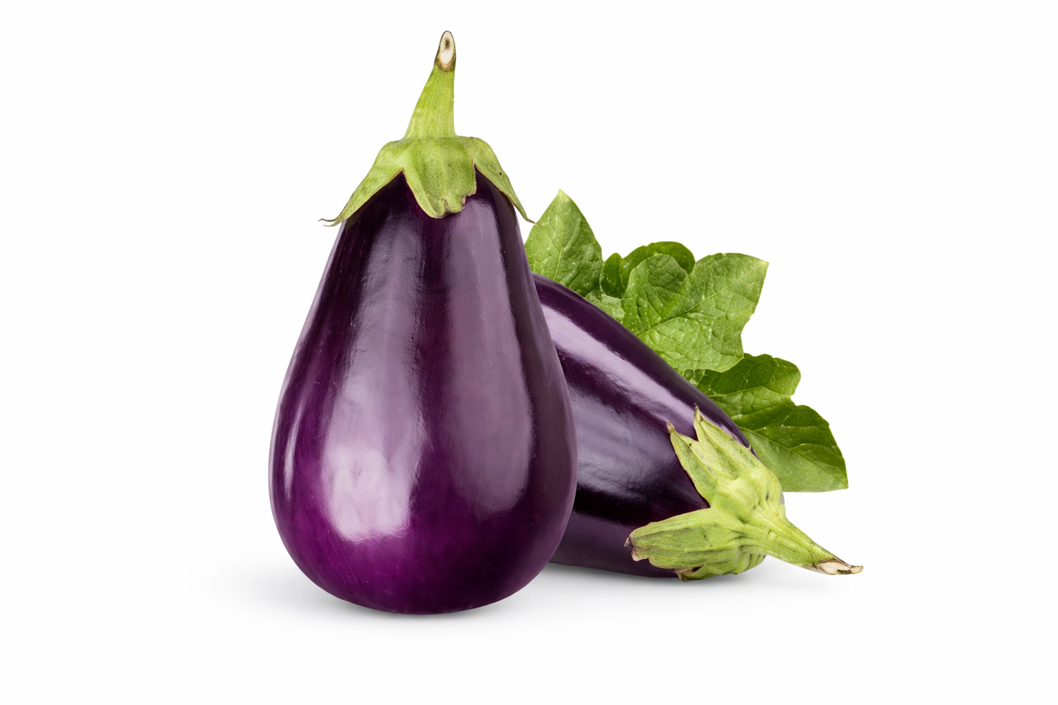 Melone Ortomì