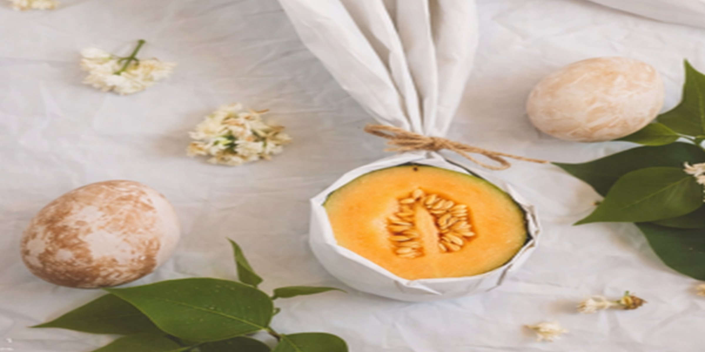 Melone Ortomì