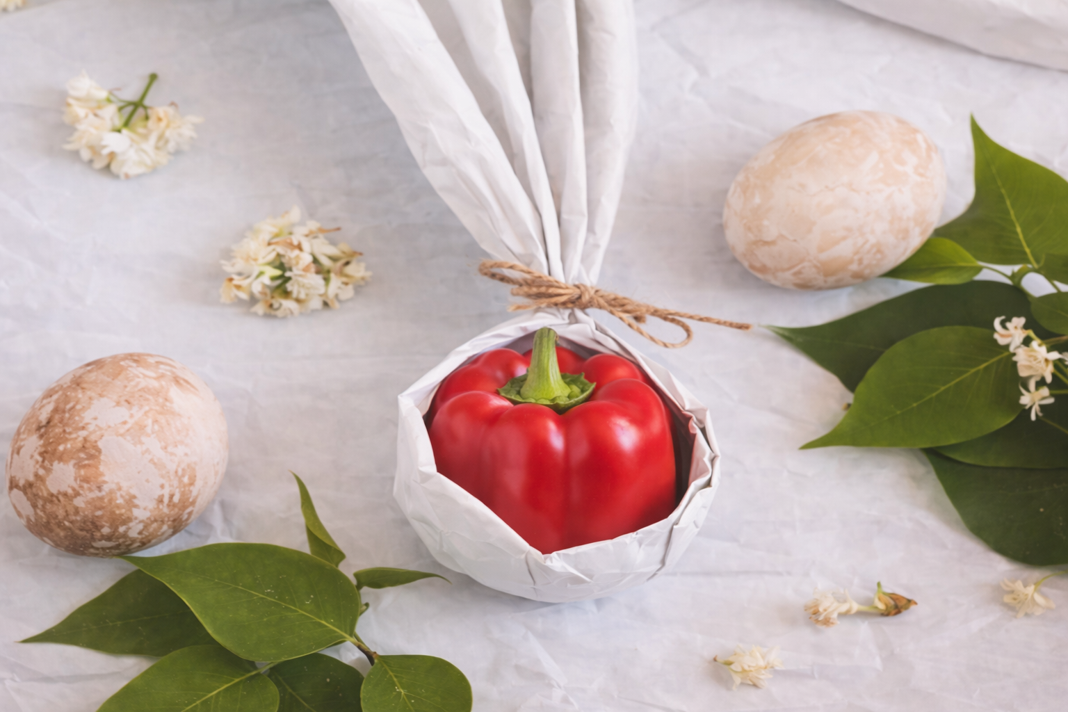 Melone Ortomì