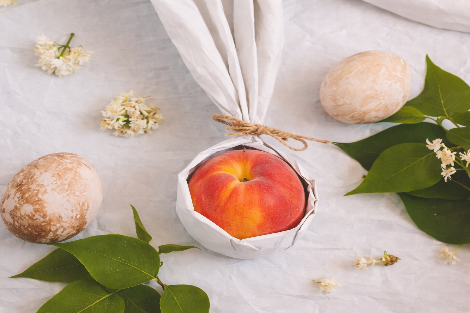 Melone Ortomì