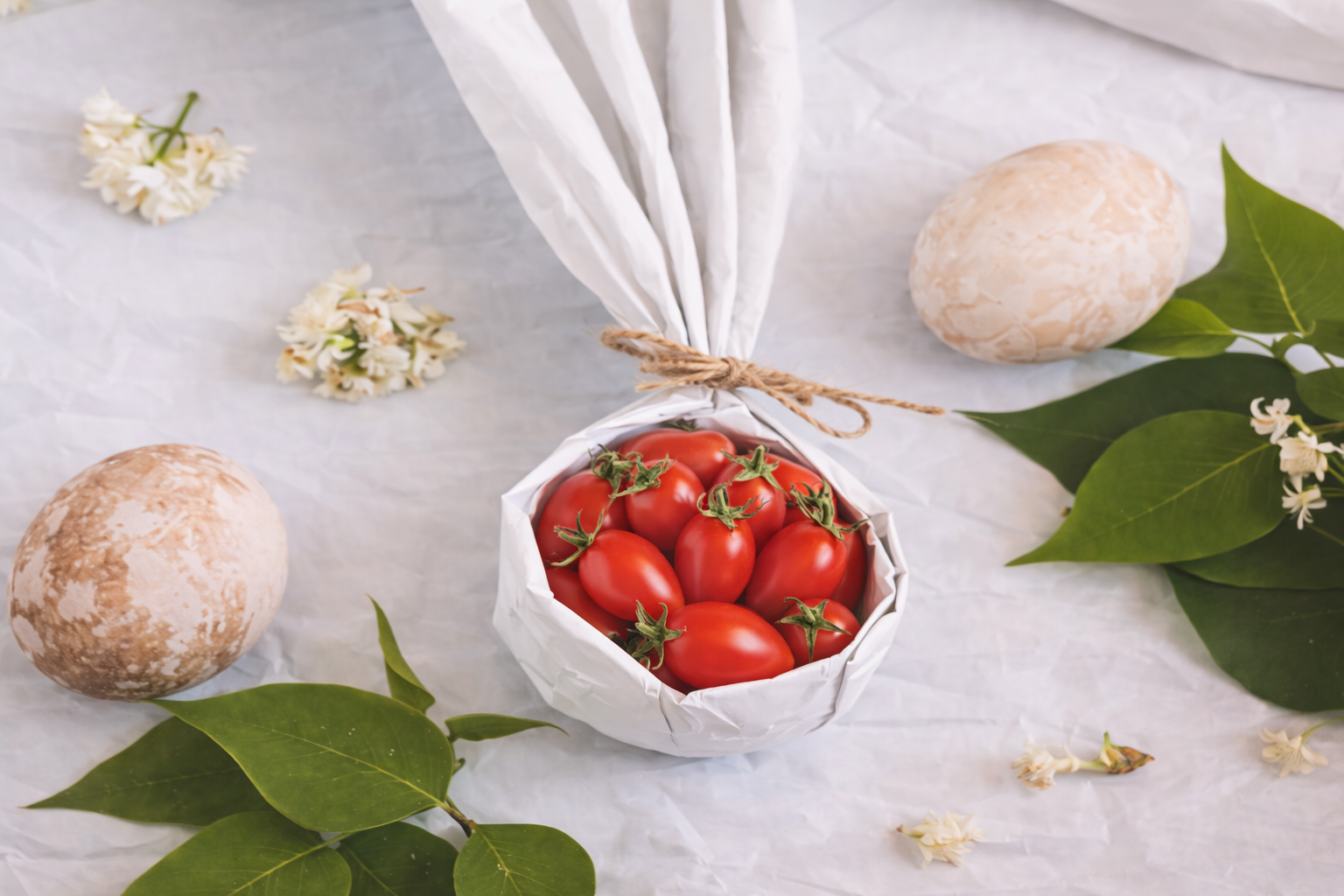 Melone Ortomì