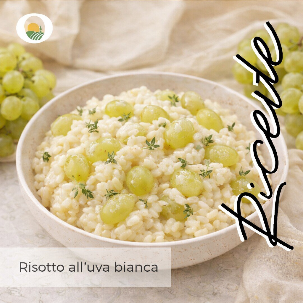 Ricetta melone 1