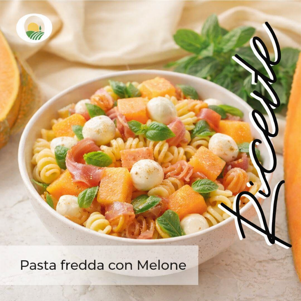 Ricetta melone 2