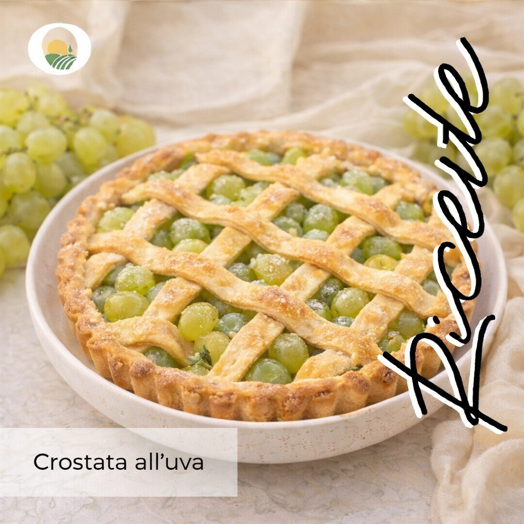 Ricetta melone 2