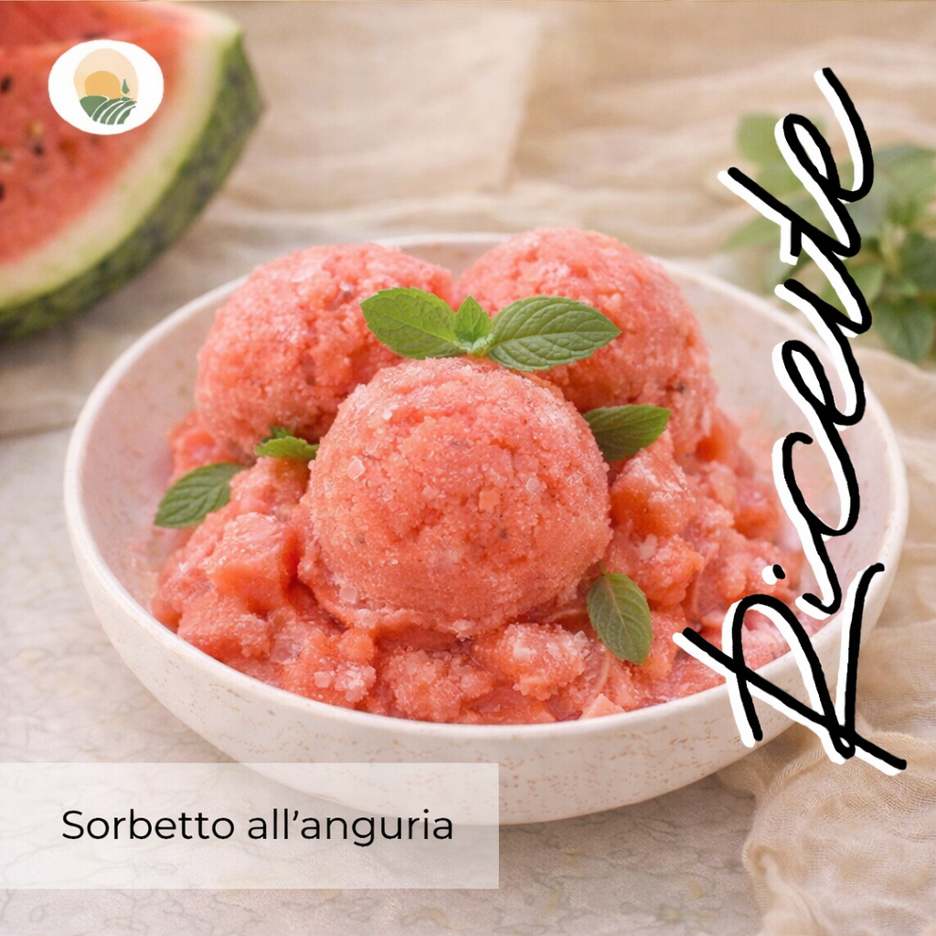 Ricetta melone 3