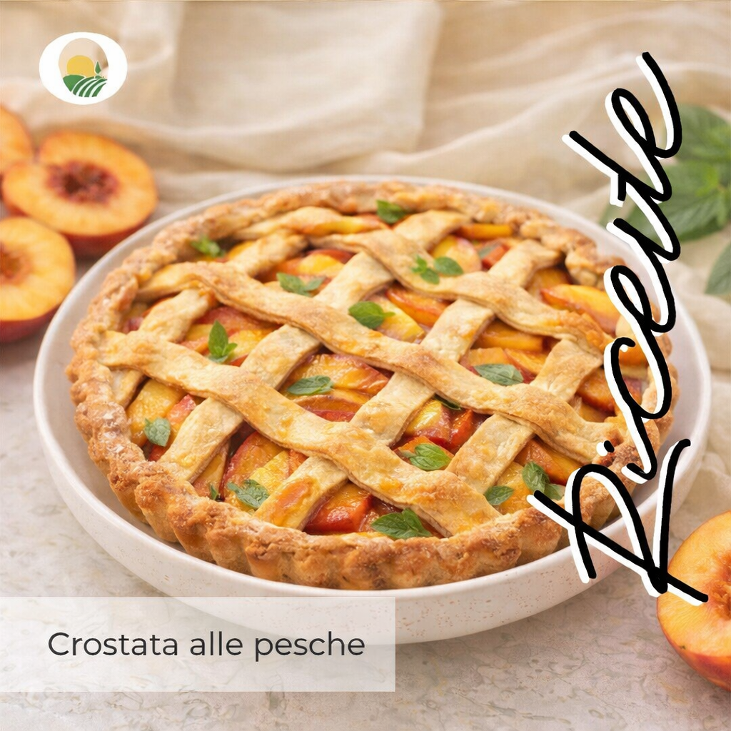 Ricetta melone 3