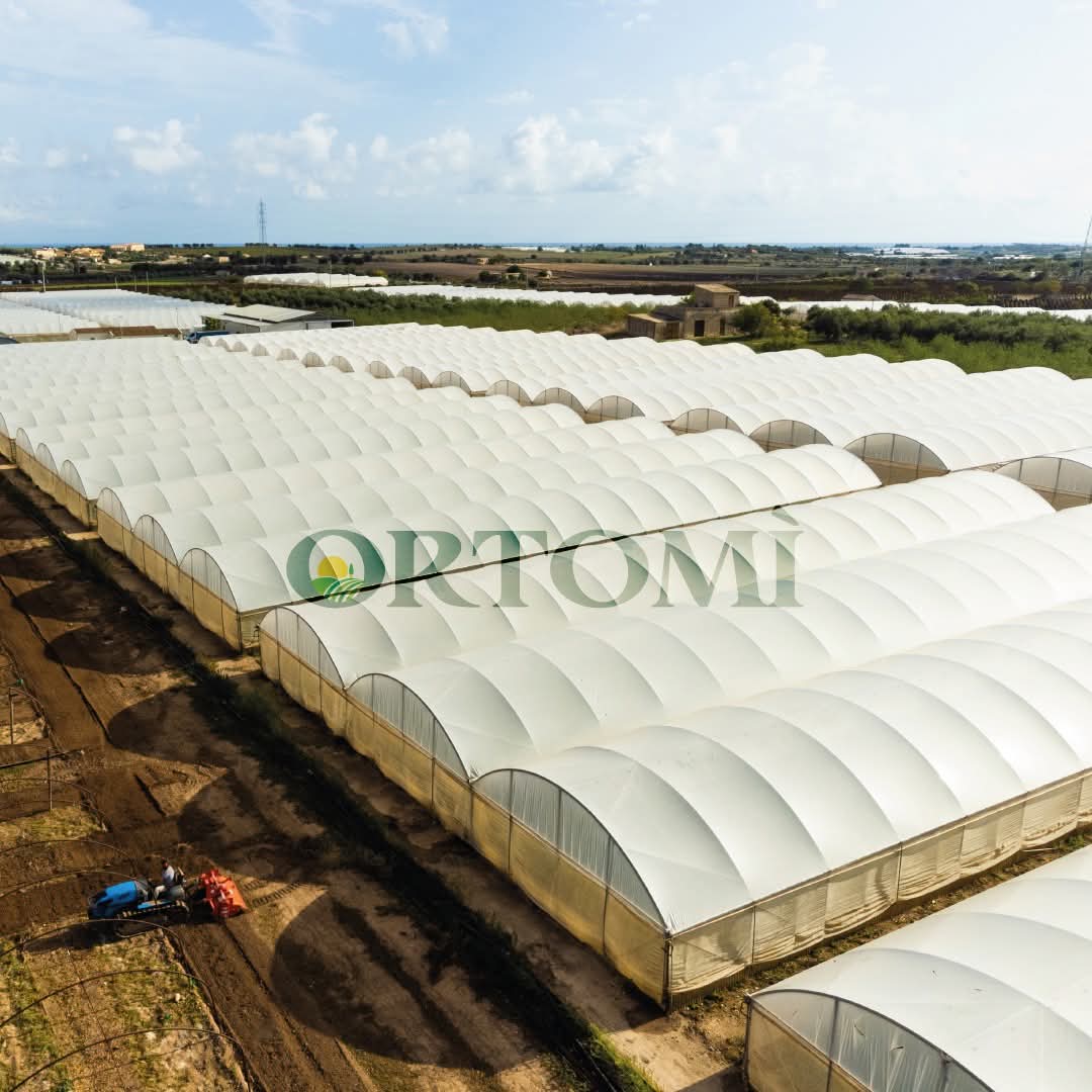 Azienda Ortomì
