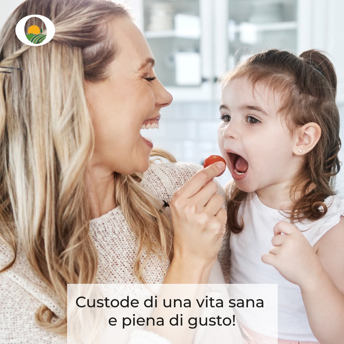 Qualità Ortomì 2